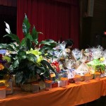 Tricky Tray 1 IMG_6444